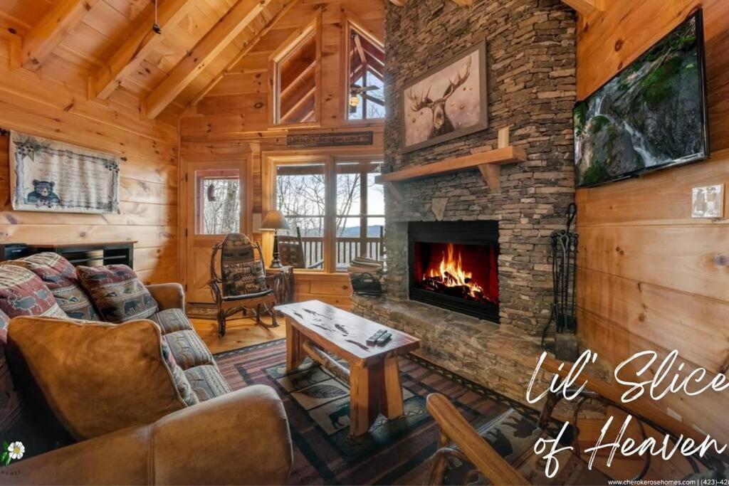Villa Lil Slice Of Heaven - Perfect Views-Hot Tub-Wine à Blue Ridge Extérieur photo