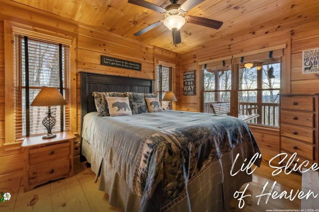 Villa Lil Slice Of Heaven - Perfect Views-Hot Tub-Wine à Blue Ridge Extérieur photo