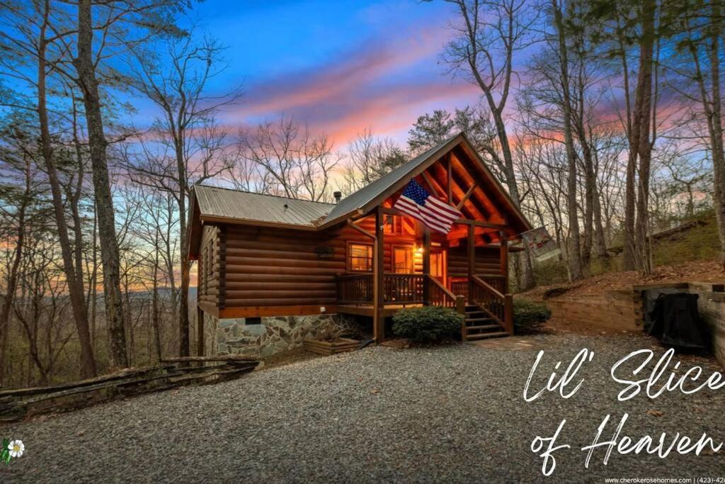 Villa Lil Slice Of Heaven - Perfect Views-Hot Tub-Wine à Blue Ridge Extérieur photo